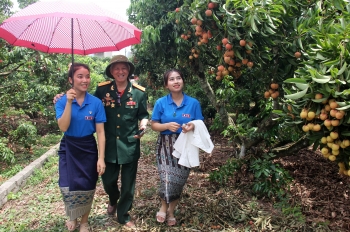 Lưu học sinh Lào say hương vải Việt
