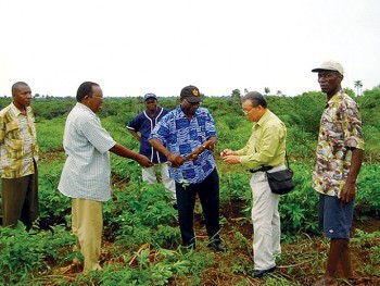 Việt Nam hỗ trợ Sierra Leone phát triển chuỗi giá trị lúa gạo