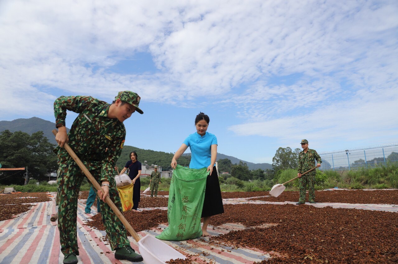 Bình Liêu, Quảng Ninh: Dân giàu, đường biên vững mạnh