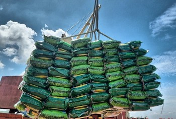 Giá gạo tăng cao có làm giảm tính cạnh tranh của gạo Việt Nam trên thị trường xuất khẩu?