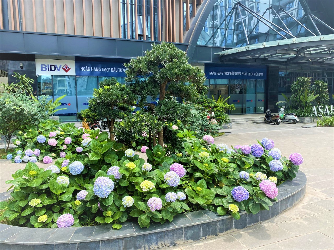Hinode City có nhiều tiện ích cây xanh được bố trí thiết kế đẹp mắt. Ảnh HC