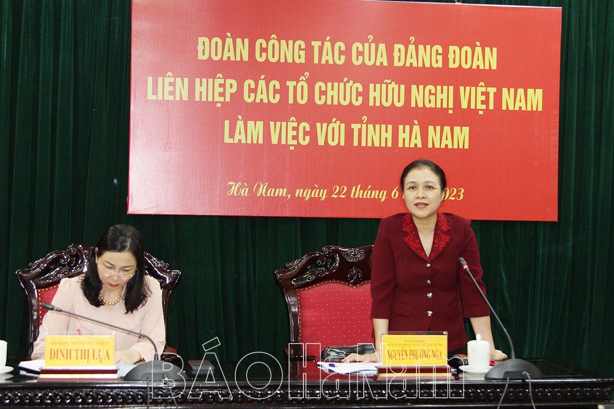 Đại sứ Nguyễn Phương Nga, Bí thư Đảng đoàn, Chủ tịch Liên hiệp các tổ chức hữu nghị Việt Nam phát biểu