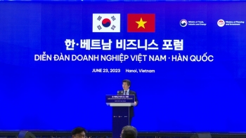 Hàng chục dự án của các nhà đầu tư Hàn Quốc đang chờ đầu tư vào Việt Nam