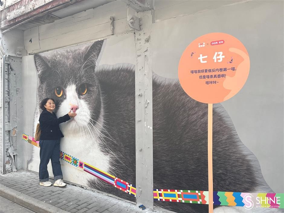 Một người phụ nữ trung niên chụp ảnh bên cạnh một bức tranh mèo. Ảnh: Ke Jiayun/Shine