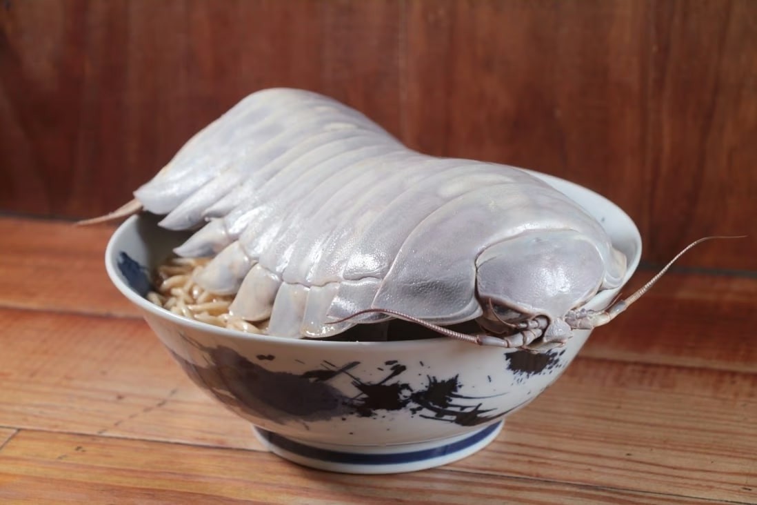 Một bát mì ramen nổi tiếng tại nhà hàng The Ramen Boy ở Đài Bắc, Đài Loan. Vỏ của con bọ biển khổng lồ được đặt lên trên mì ramen chỉ để trang trí. (Ảnh: The Ramen Boy)