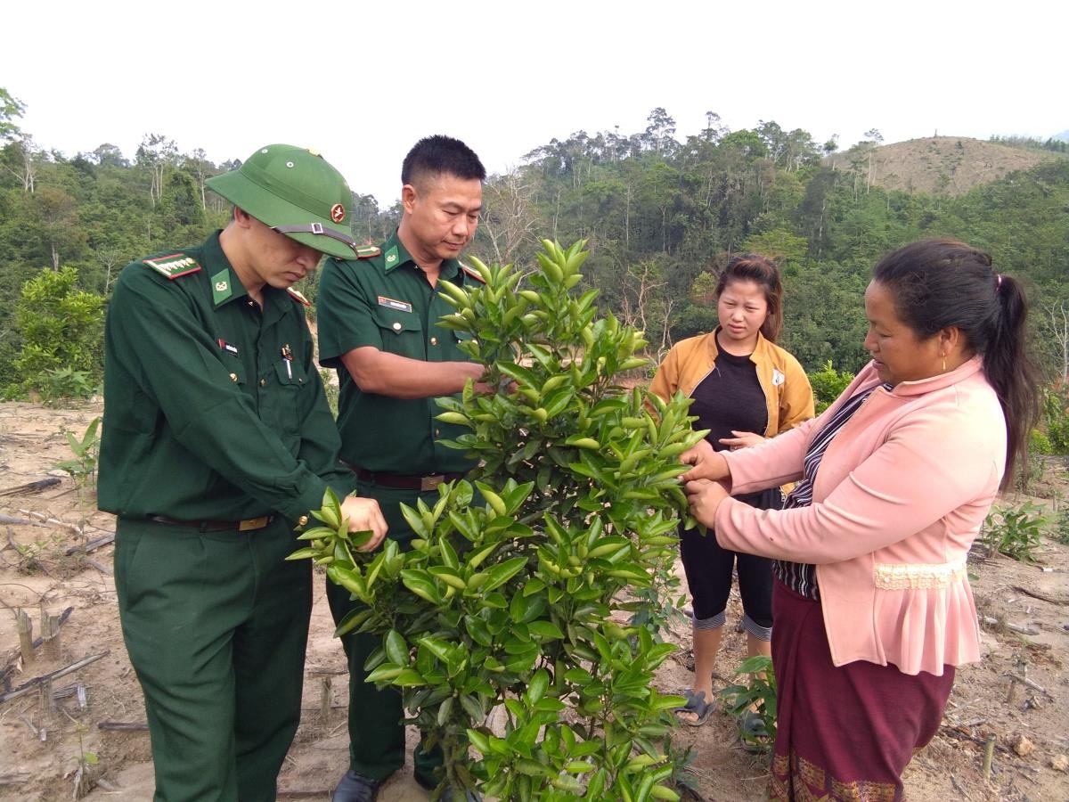 Cán bộ Đồn Biên phòng Thông Thụ hướng dẫn đại diện gia đình ông Vừ Và Pó chăm sóc cây ăn quả. Ảnh: Anh Sơn