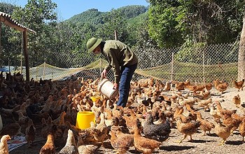 Thành phố Hạ Long hoàn thành nhiệm vụ xây dựng nông thôn mới