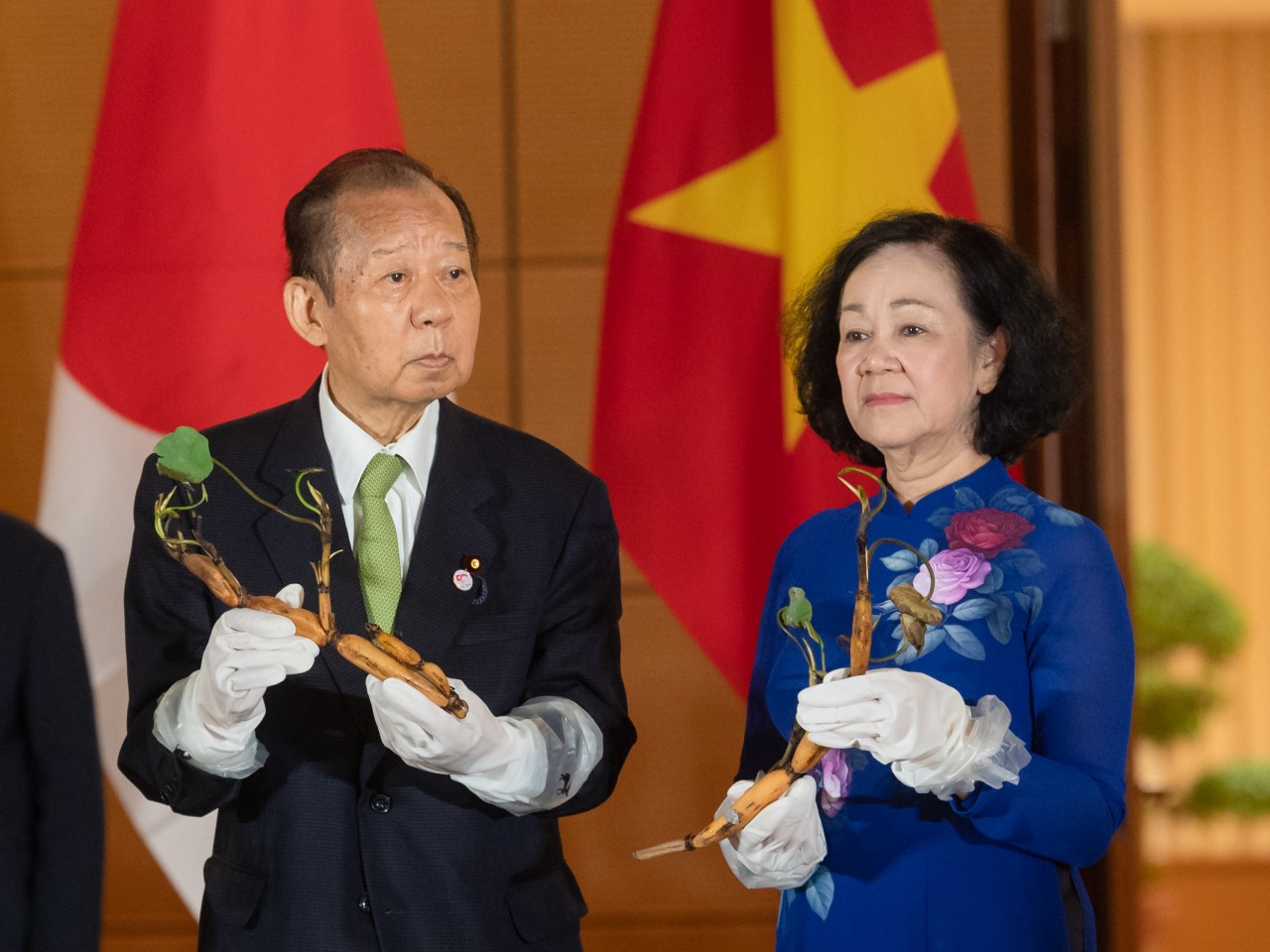 Hoa sen Việt Nhật - "Sứ giả" của tình hữu nghị