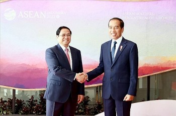 Nhà báo Indonesia đề cao chính sách ngoại giao cây tre của Việt Nam