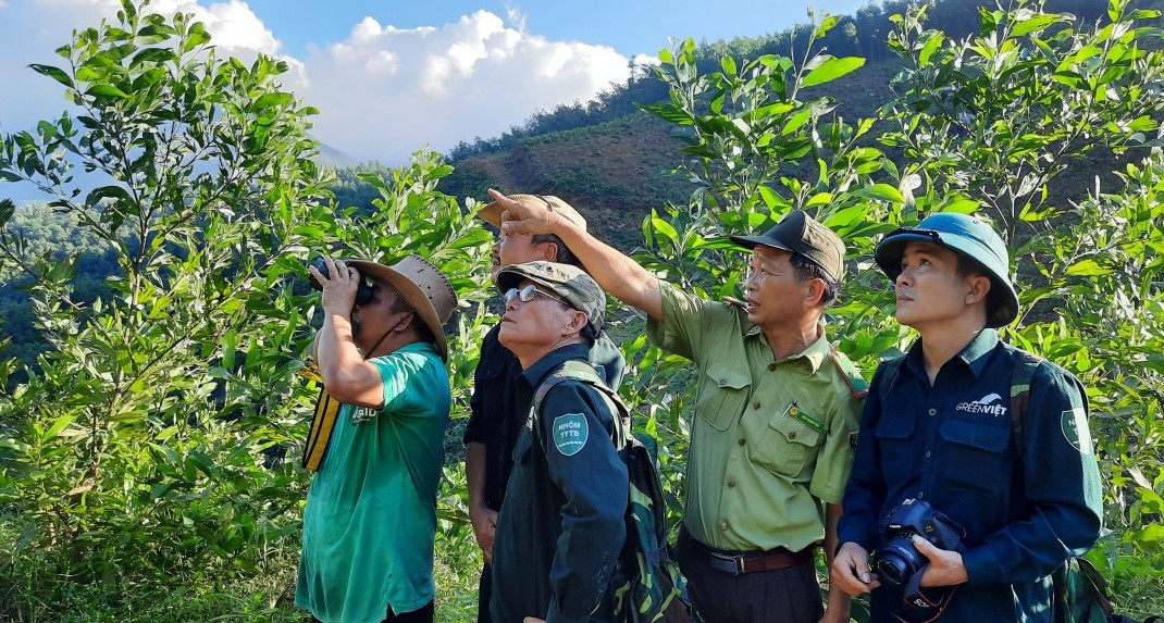 Phim về bảo tồn voọc của Việt Nam đạt giải Nhì tại Liên hoan phim về rừng 2023
