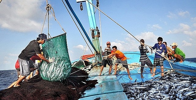 Từ năm 2019 đến nay, Phú Yên không có tàu cá khai thác hải sản trái phép vùng biển nước ngoài