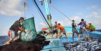 tu nam 2019 den nay phu yen khong co tau ca khai thac hai san trai phep vung bien nuoc ngoai