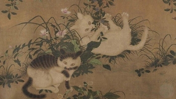 Hai chú mèo được hoàng đế  "sủng ái" nhất lịch sử phong kiến Trung Quốc