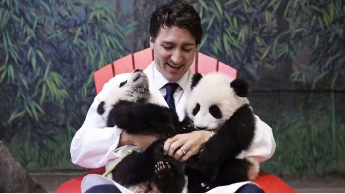 Thủ tướng Canada Justin Trudeau với cặp gấu trúc song sinh Jia Thumper và Jia Yueyue tại Vườn thú Toronto, tháng 3-2017. Ảnh:Twitter/Justin Trudeau 