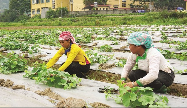 Việt Nam trong nhóm 25 nước giảm nghèo đa chiều thành công