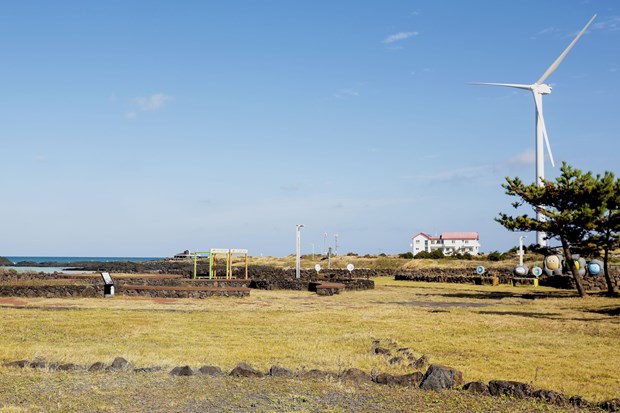 14 lao dong dau tien cua tinh Nam Dinh toi dao Jeju lam viec thoi vu hinh anh 1