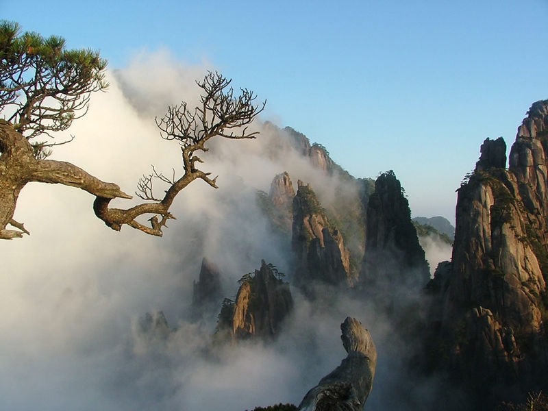 Núi Hoàng Sơn là địa điểm quay bộ phim nổi tiếng “Ngoạ hổ tàng long”. (Ảnh: Internet)