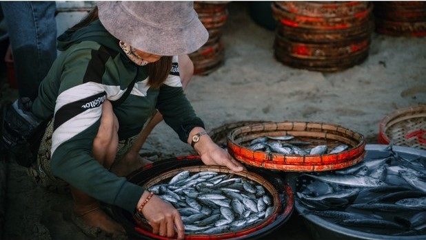 Bình minh ở chợ cá lớn nhất Quảng Nam