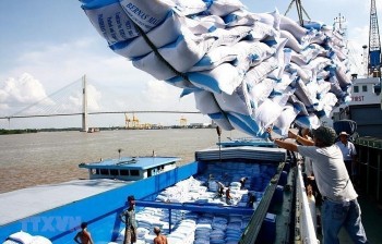 Doanh nghiệp Việt cần liên hệ đối tác xuất khẩu gạo để kiểm tra tình trạng hàng hóa