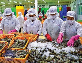 Các doanh nghiệp Việt Nam sẽ được đối xử công bằng hơn khi xuất khẩu hàng hóa sang Anh