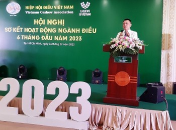 Kim ngạch xuất khẩu điều năm 2023 dự báo đạt 3,05 tỷ USD, thấp hơn mục tiêu đề ra