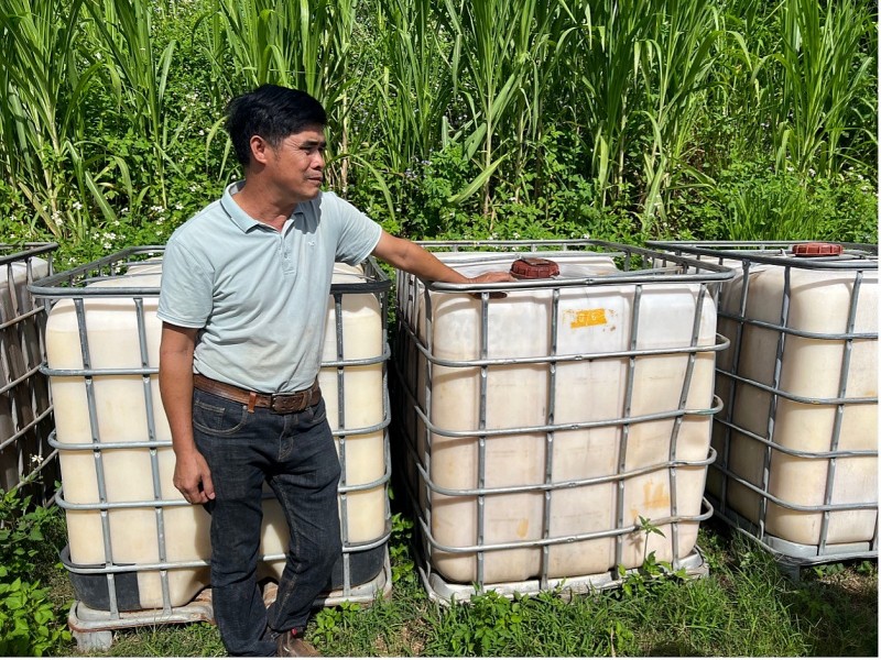 Kinh doanh rau hữu cơ ở Việt Nam: Khi nào thôi bế tắc?