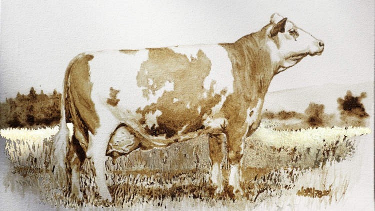 Kỳ lạ nghệ sĩ thích vẽ tranh bằng phân bò
