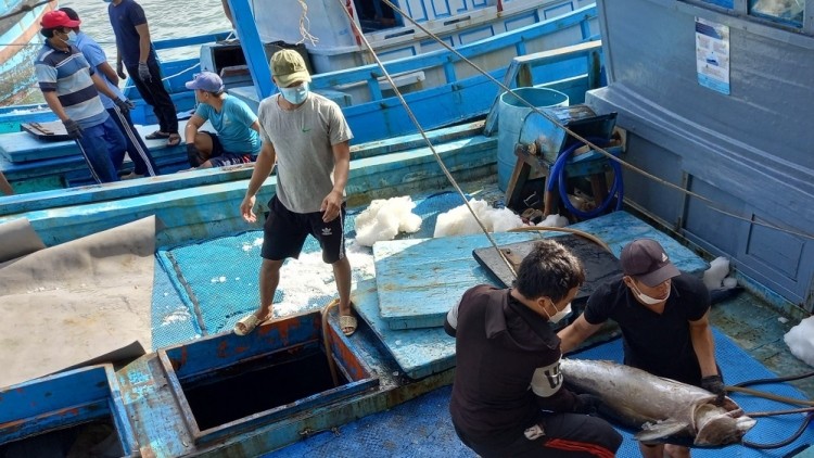 Khánh Hòa chi 10 tỷ đồng hỗ trợ phát triển nghề cá tại Trường Sa