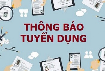 Liên hiệp các tổ chức hữu nghị Việt Nam tuyển dụng nhân viên lái xe