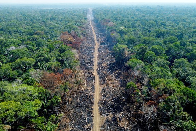 Bảo vệ Amazon - “Lá phổi xanh” của trái đất 2
