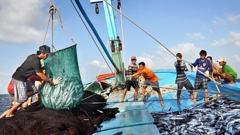 Hơn 26 tỷ đồng được đóng góp ủng hộ Quỹ hỗ trợ phát triển nghề cá Khánh Hòa