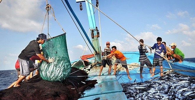 Hơn 26 tỷ đồng được đóng góp ủng hộ Quỹ hỗ trợ phát triển nghề cá Khánh Hòa