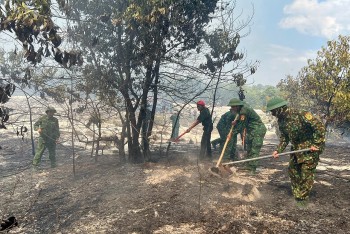 BĐBP Thừa Thiên Huế nỗ lực khống chế, dập tắt đám cháy rừng phòng hộ