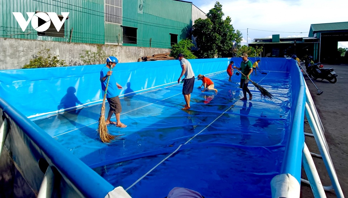 Nhiều trẻ em vùng sâu Đắk Lắk được học bơi miễn phí trong dịp hè