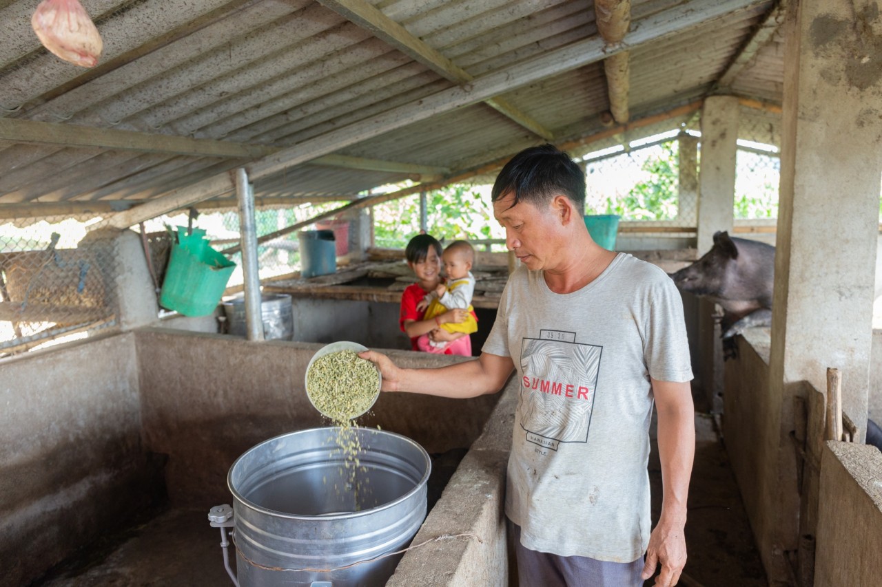 Mô hình vườn nhà cải thiện bữa ăn cho người dân nghèo Tân Uyên (Lai Châu)