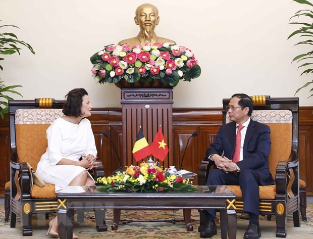 Bộ trưởng Bộ Ngoại giao Bùi Thanh Sơn hội kiến Chủ tịch Thượng viện Bỉ Stéphanie D'Hose. (Ảnh: An Đăng/TTXVN)