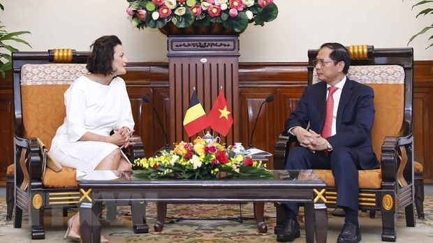 Bỉ đang tích cực tiến hành phê chuẩn Hiệp định Bảo hộ Đầu tư Việt Nam - EU (EVIPA)