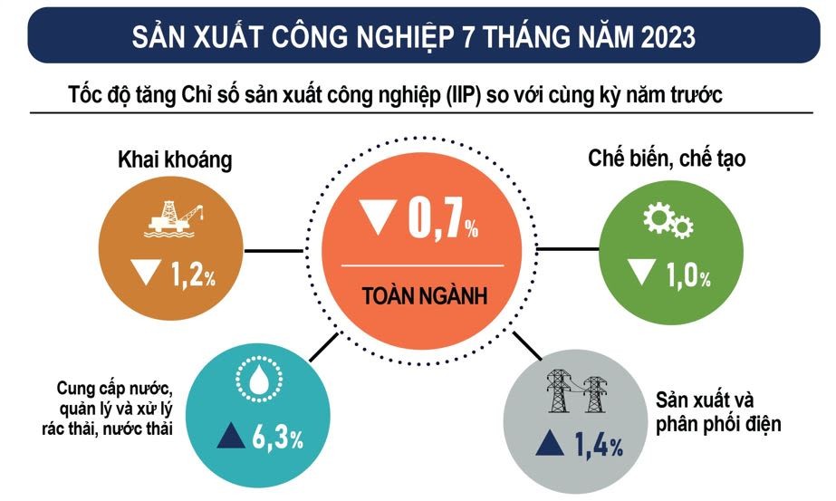 TS Nguyễn Tú Anh: Muốn đi xa và nhanh Việt Nam vẫn cần phát triển thị trường nước ngoài