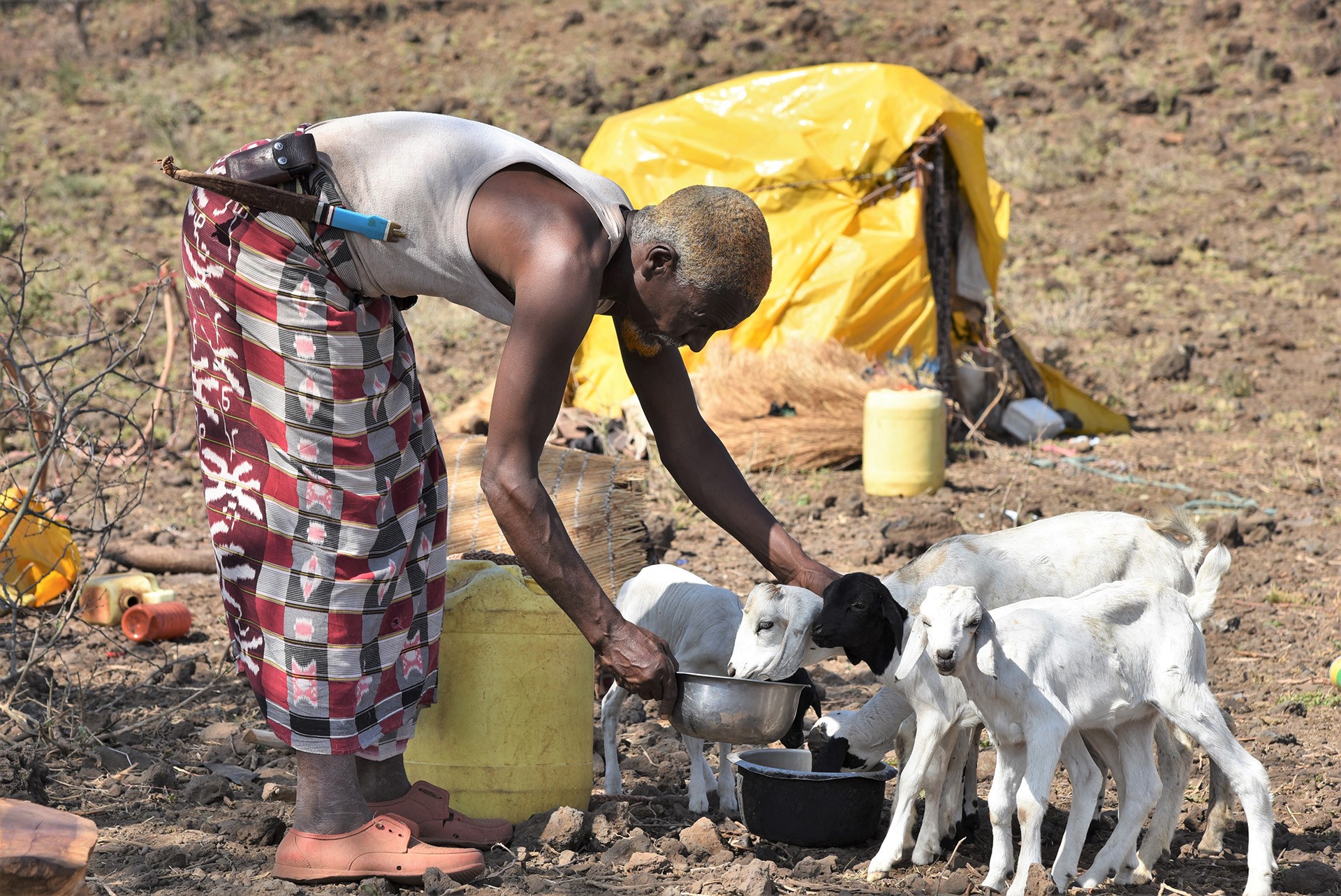 Hạn hán ngày càng nghiêm trọng ở các quốc gia vùng Sừng châu Phi (Ảnh: TNH).