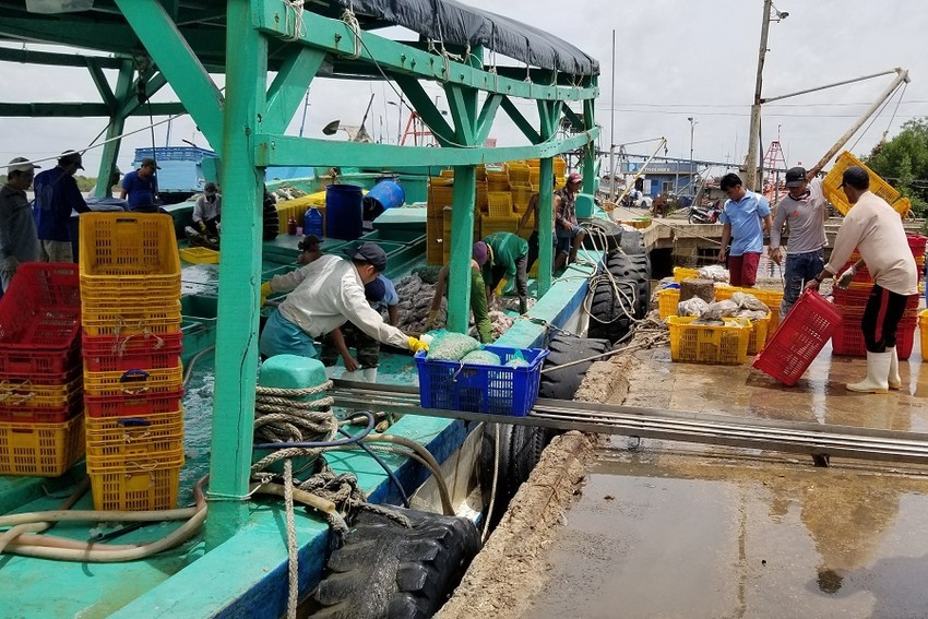 Lao động nghề cá ở cửa biển Gành Hào, Đông Hải, Bạc Liêu. Ảnh: TRẦN VŨ