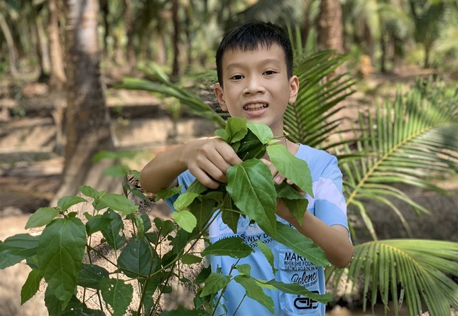 Bức thư nói về sức mạnh yêu thương của học sinh Việt Nam đạt giải ba cuộc thi viết thư UPU quốc tế