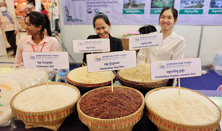 Xuất khẩu gạo đóng góp khoảng 12% GDP d