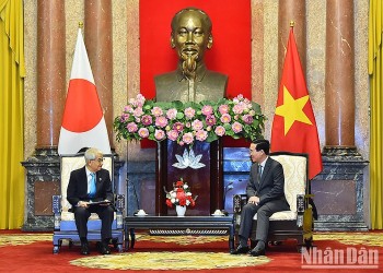 Giao lưu nhân dân tạo nền móng cho quan hệ Việt - Nhật