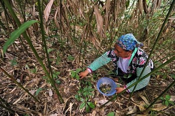 Trao quyền cho phụ nữ và thúc đẩy bình đẳng giới để giảm nghèo bền vững