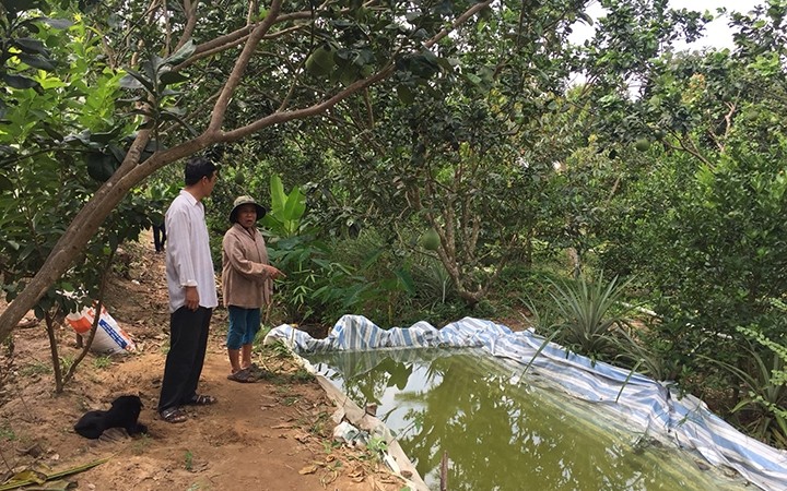 Nông dân ở xã Quới Thiện huyện Vũng Liêm Vĩnh Long làm hồ chứa nước bằng tấm bạt ni lông để trữ nước ngọt (Ảnh: