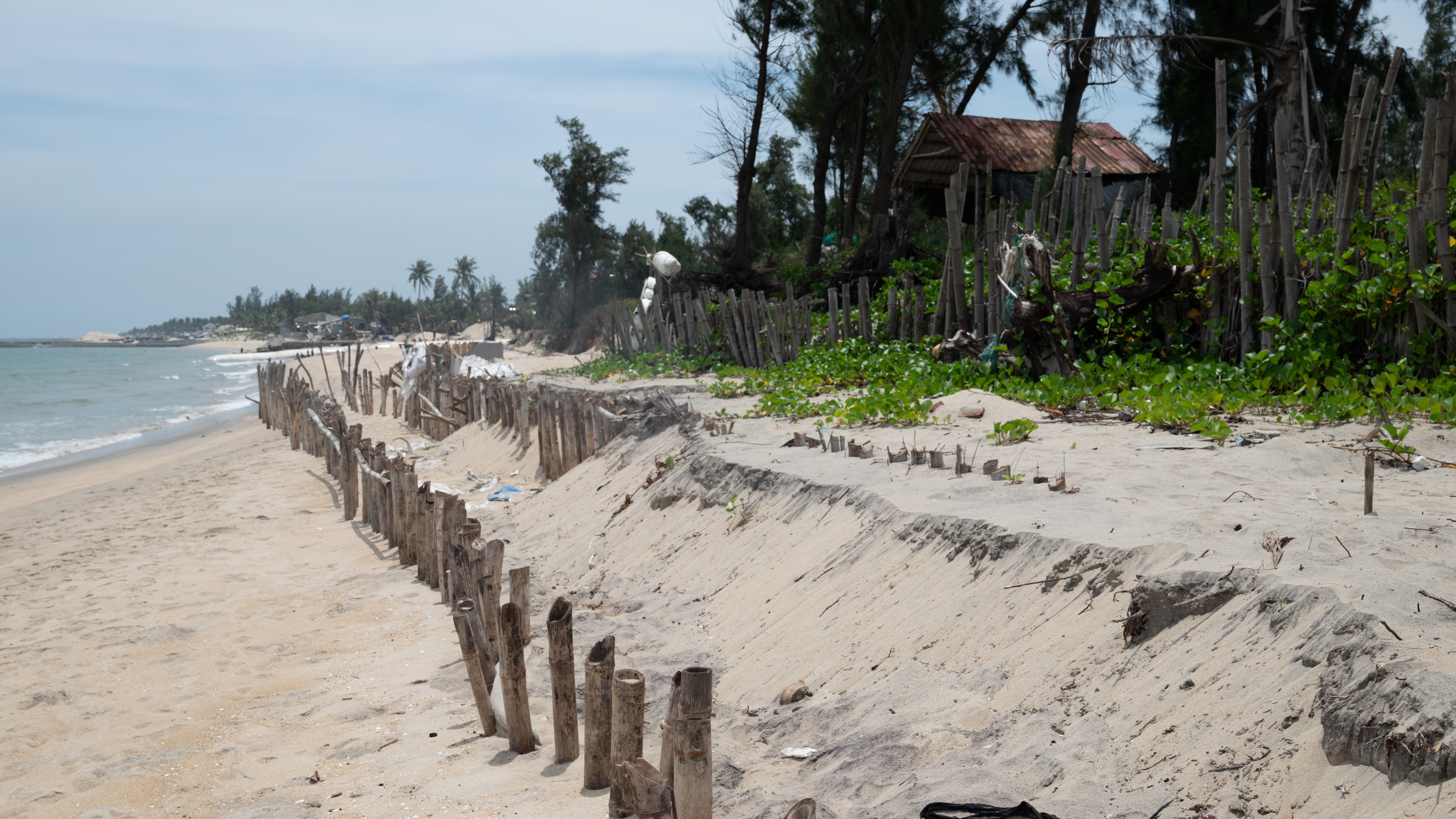 Xây kè, đổ cát nuôi bãi để chống xói lở bờ biển Hội An