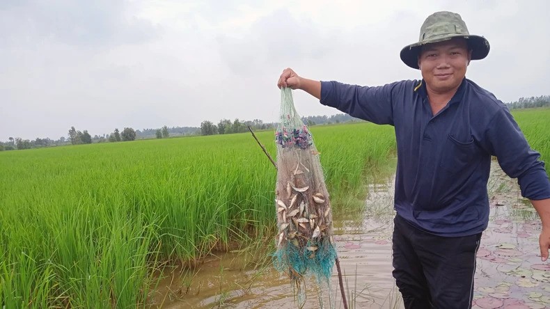 Mưu sinh trong mùa nước nổi