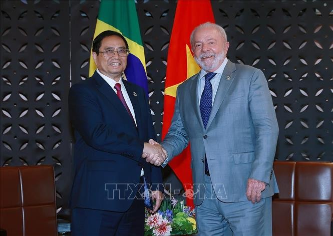 Triển vọng hợp tác trên nhiều lĩnh vực trong quan hệ giữa Việt Nam và Brazil
