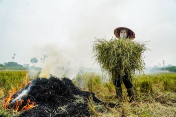 Phụ phẩm nông nghiệp là nguồn tài nguyên quý giá