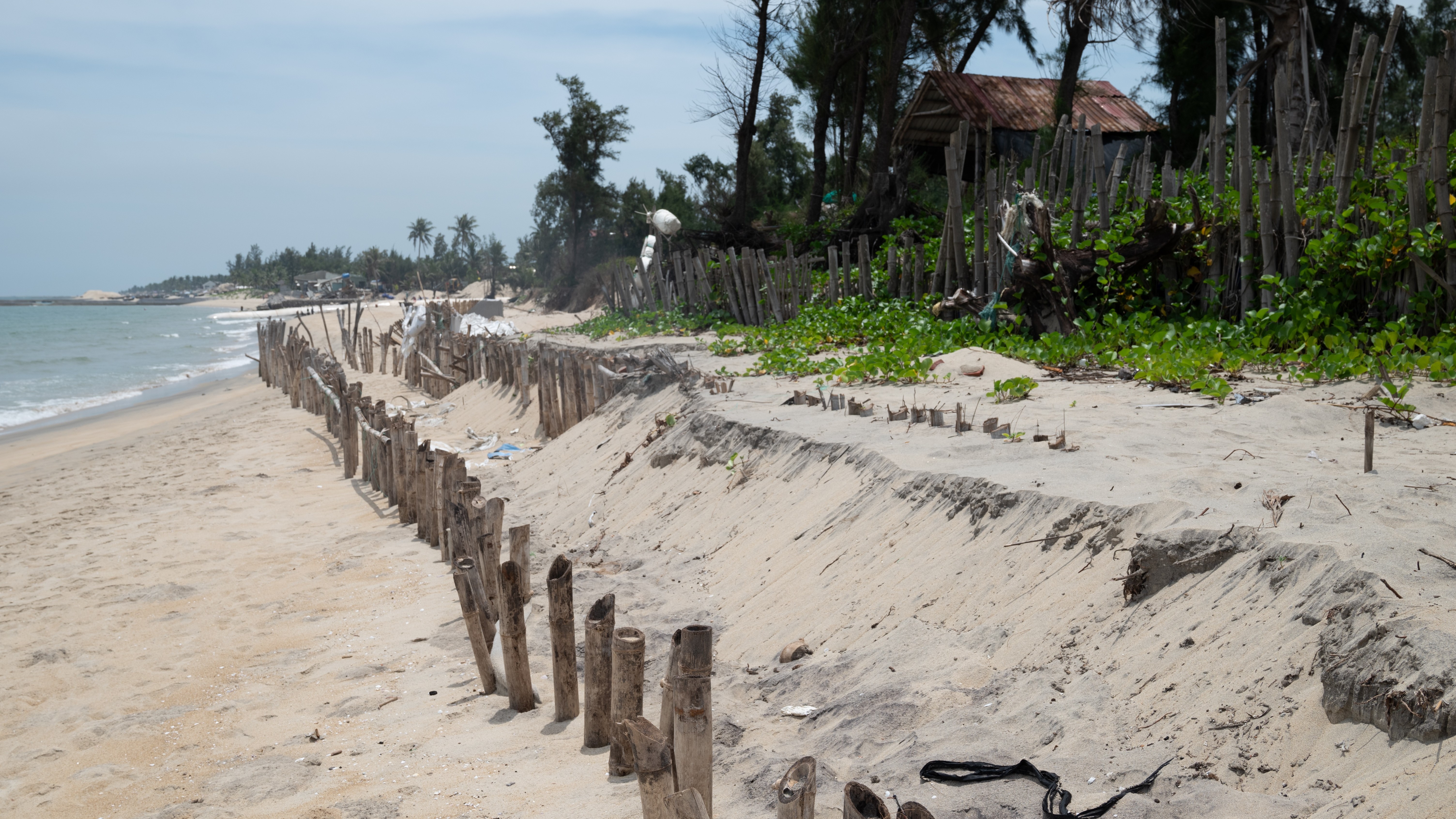 Đổ cát nuôi bãi hy sinh: Giải pháp căn cơ chống xói lở bờ biển Hội An